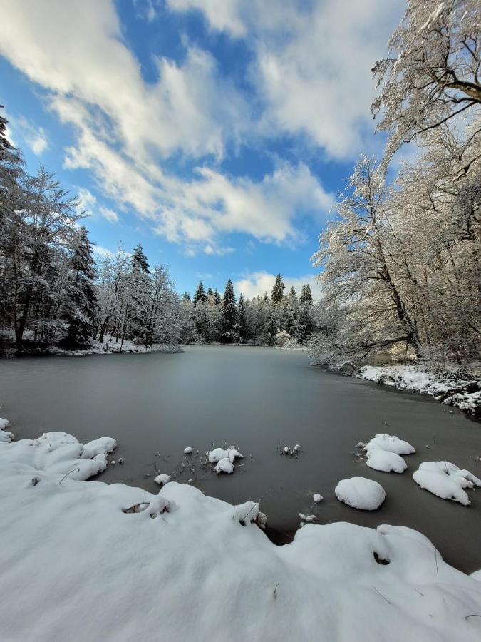 Gite Annegray La Voivre  Exterior foto